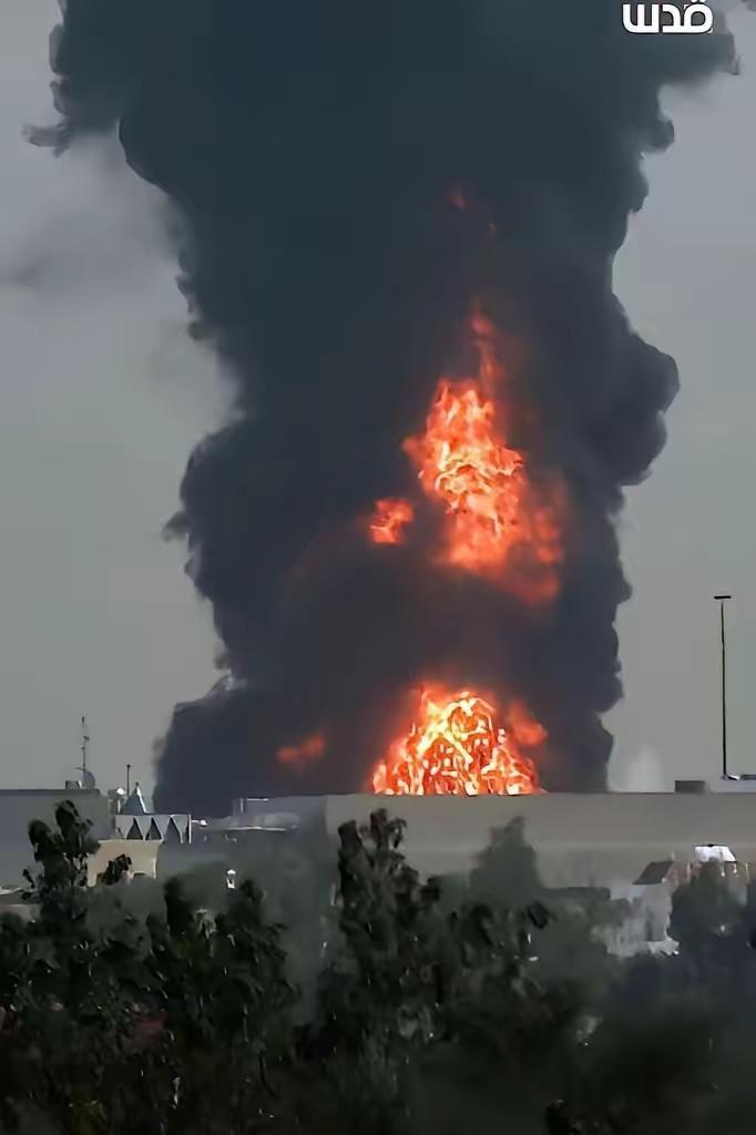 天下大乱唯我中华大安！幸甚至哉！