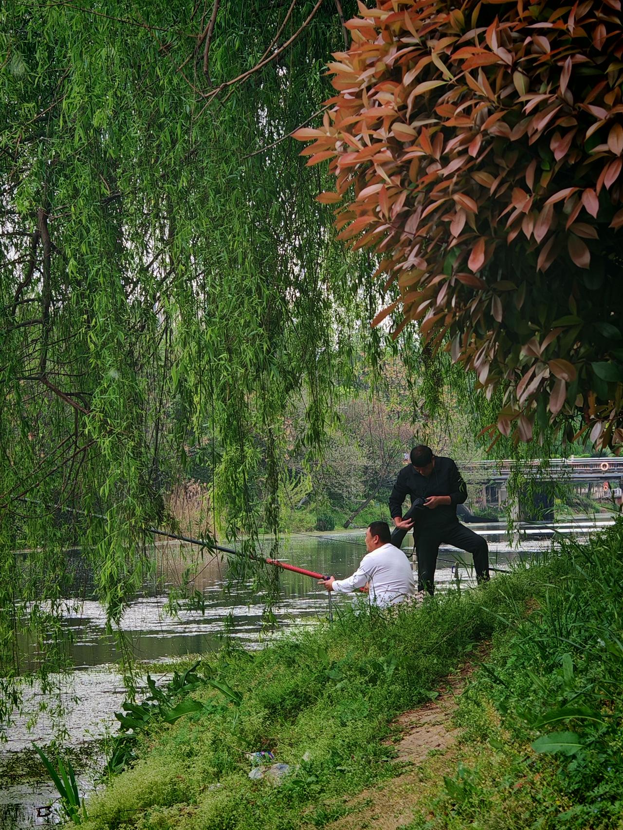 钓友玩的愉快一天