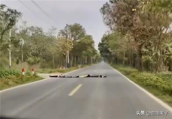 惊魂！广东清远四名孩子躺机动车道模仿网红视频，司机急刹停在两米外，看完后背发凉！