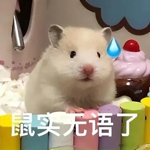 王楚钦是不是看猎罪图鉴2了 ？？？比赛呢  没话找话呢🌊？ 