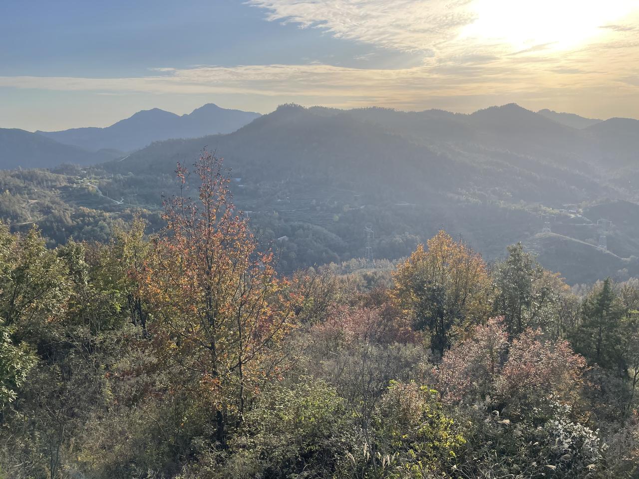 趁阳光正好，
去踏秋，去踏冬，
去看红如二月花的红叶🍁
去看在春季错过的海棠花