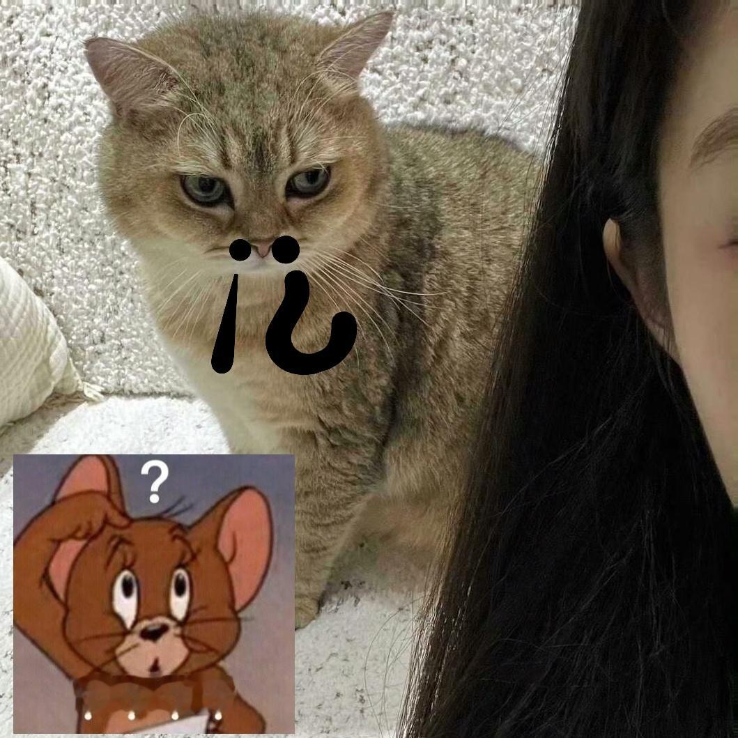 沈梦瑶 🥺沈梦瑶斗鱼嘉年华 🥺想你的耶端午安康！！🫡一大堆新的猫咪表情包来