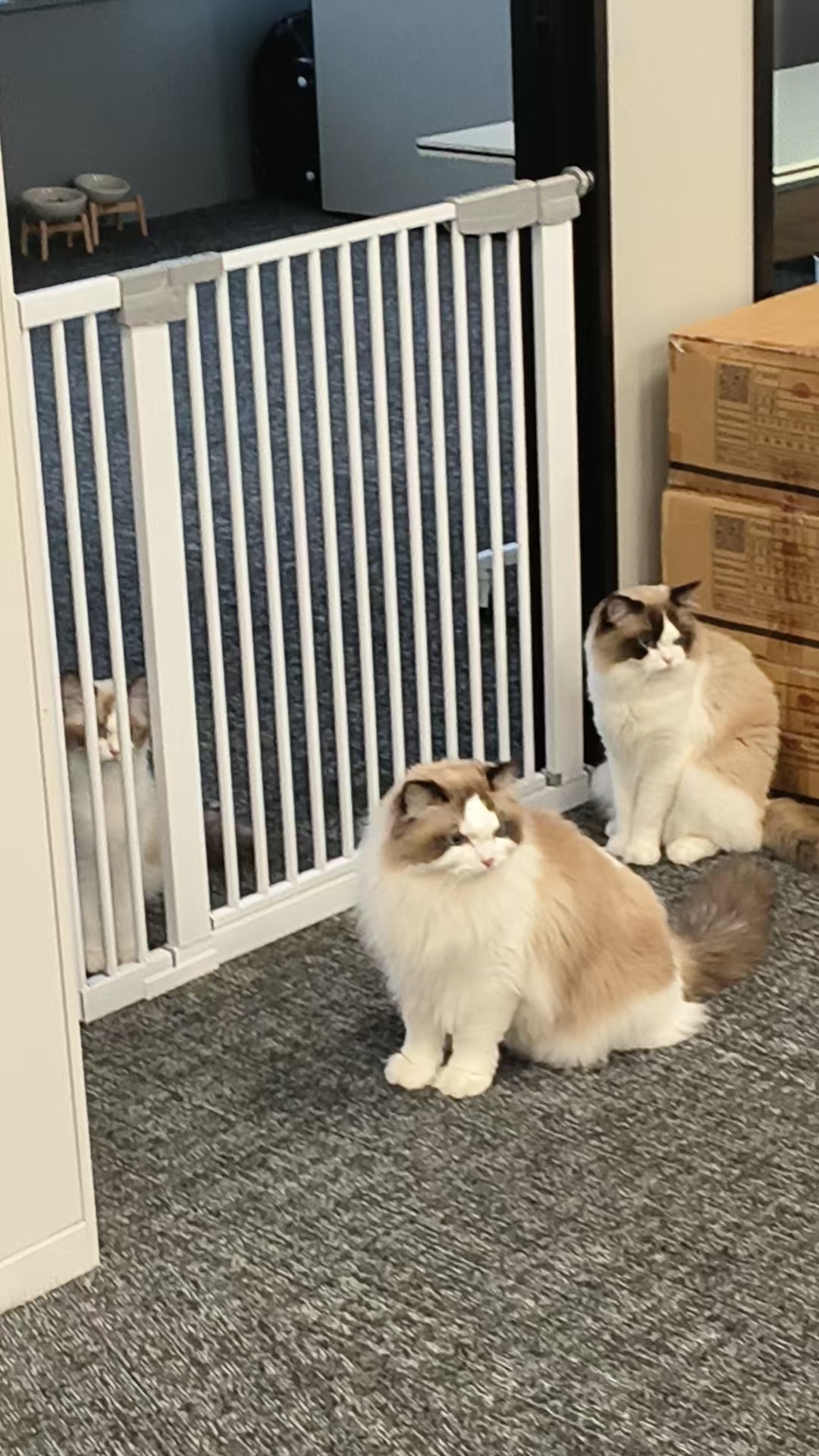 下班下班 