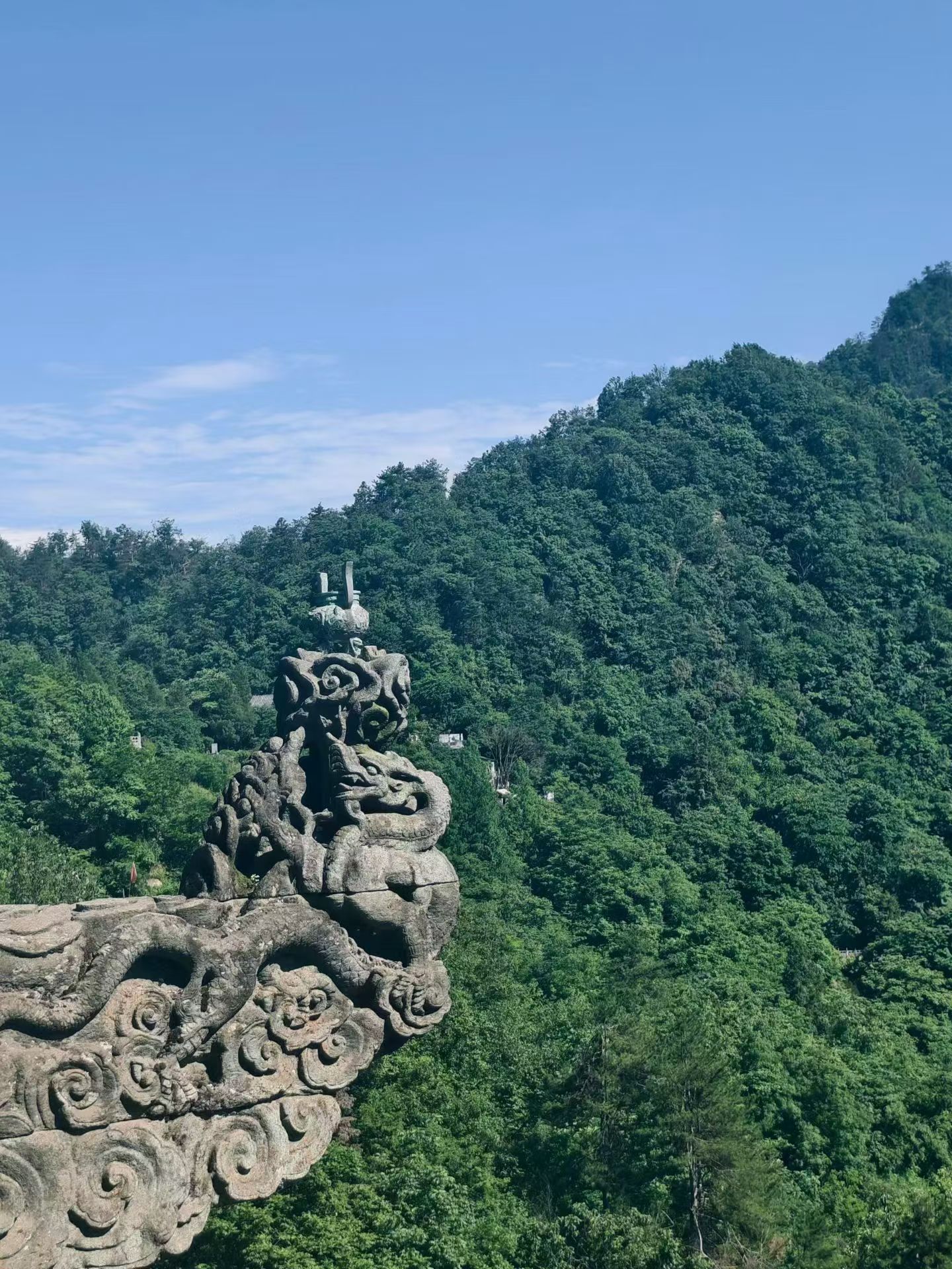 武当龙脉之地，山藏灵气，古木承祥。龙脉福树认养，新一期缘分正式开启。认养龙脉福树