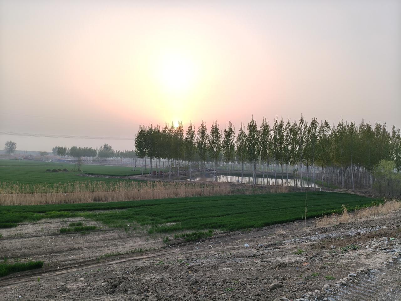 随手拍一张天空照傍晚时分的农村夕阳🌇