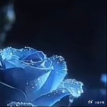 0000轻装前行，自在随心人生行路，最难得的是卸下负累，轻装奔赴远方。生活本就匆
