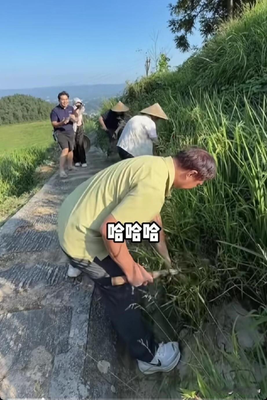 流浪大师、著名文化学者沈巍走进湖南新化的田间地头，除草摸鱼干农活，3位榜书大师变