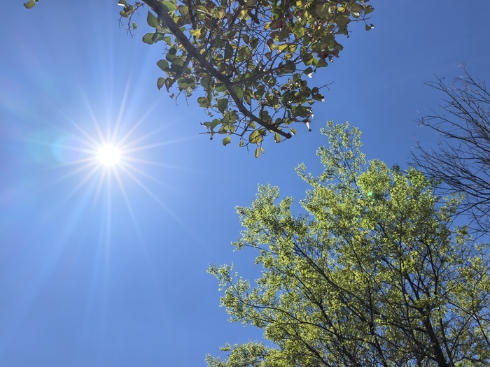 今夜济南南风风力较大，气温略有波动