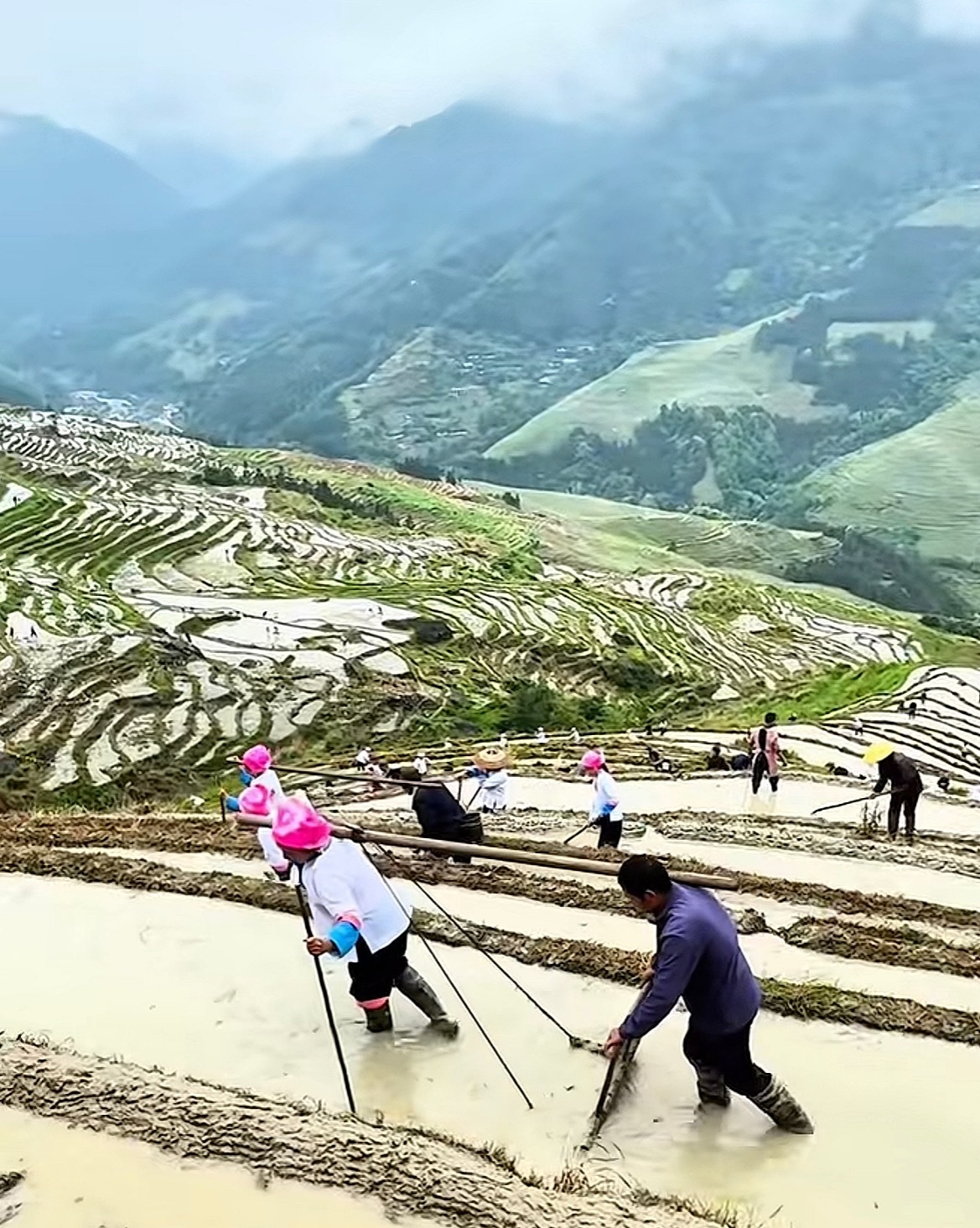 桂林龙脊梯田开耕节桂林龙脊开耕节5月2日—3日（两天），广西桂林龙脊梯田开耕节！