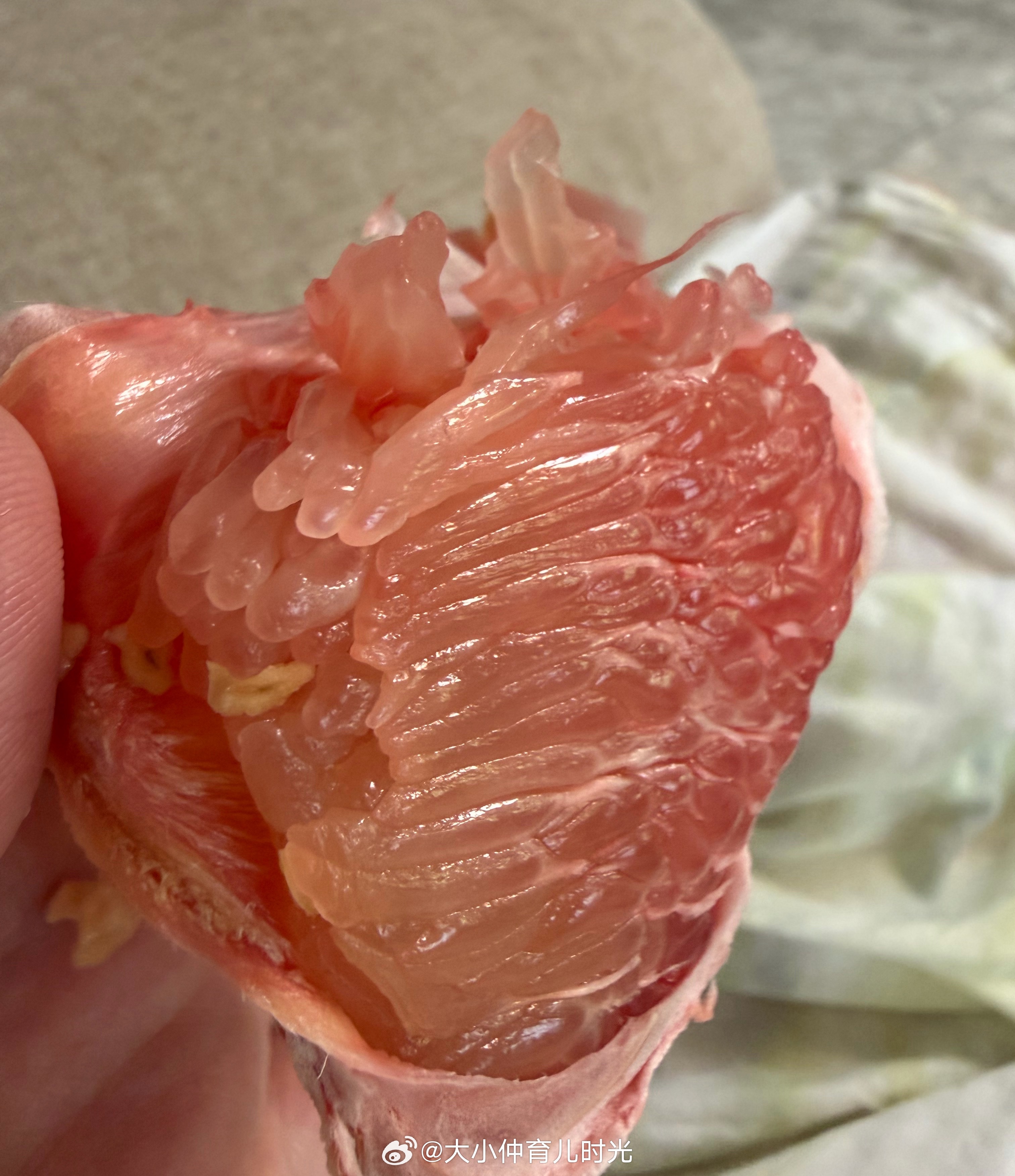 才9点半不到，感觉自己醒来干了无数件事了[捂嘴哭]坐一会，吃点柚子开始运动💪1
