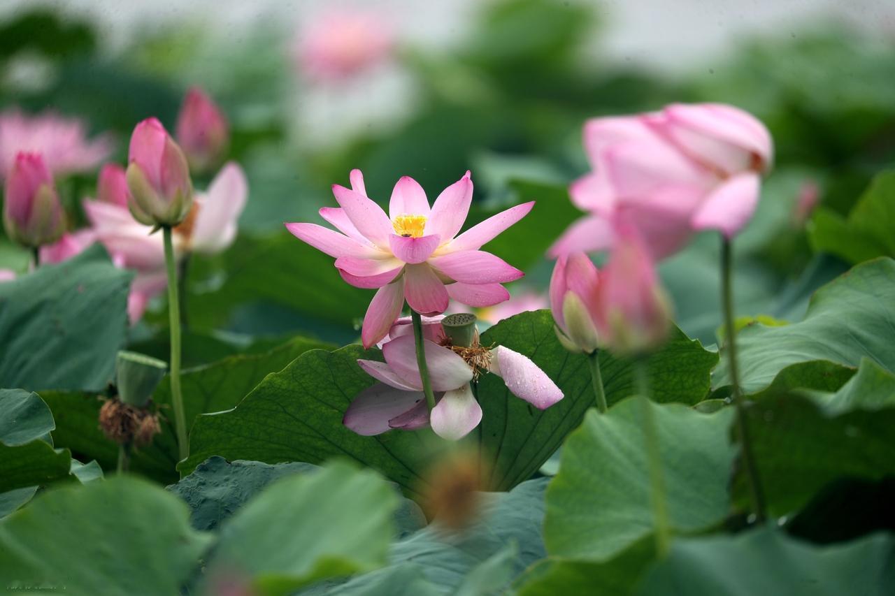 你整天瘫在床上，不学习不运动，幻想天上掉馅饼，白天遇事唯唯诺诺，晚上熬夜为情伤感