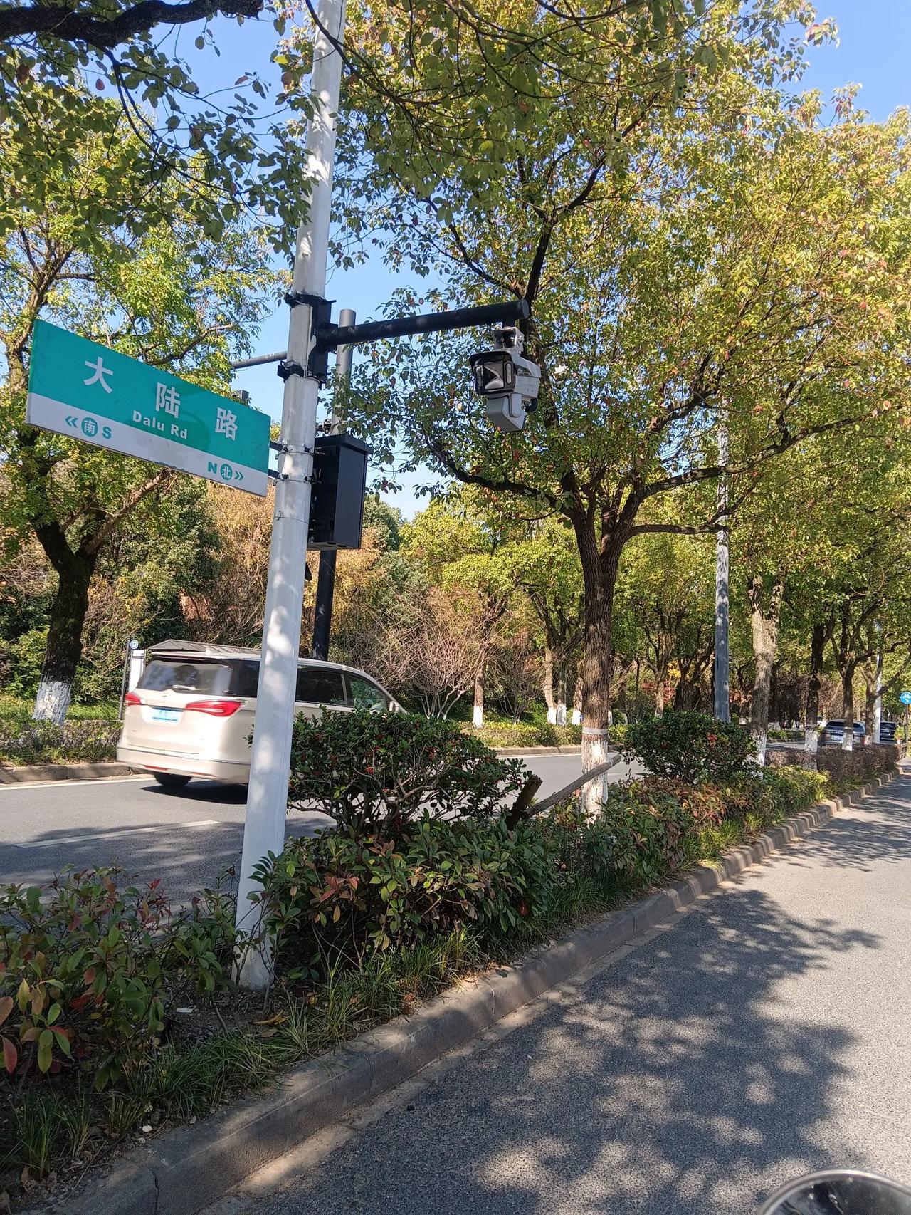 晴日畅怀
 
今日，阳光毫无保留地倾洒大地，天空澄澈如洗，湛蓝无垠。本以为 12