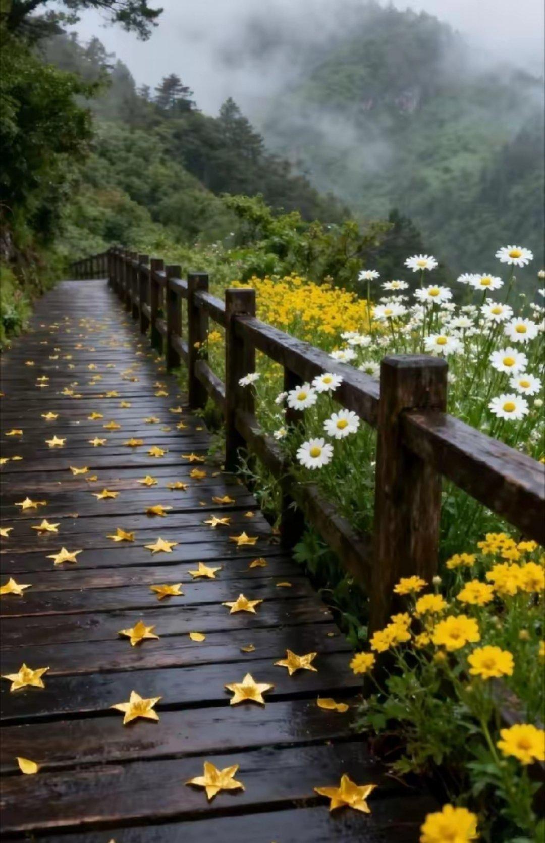 2026年很火的一段话：人生本无坦途，风雨实属寻常。唯有心静方能从容，简单才得自