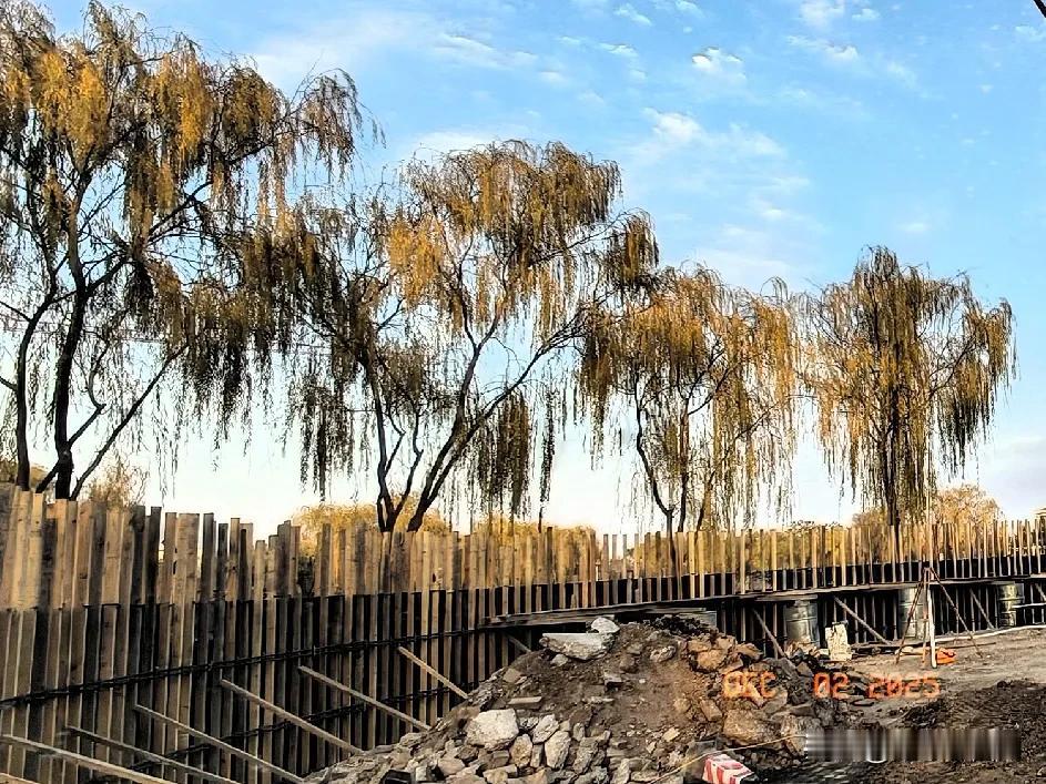 今天零下十二度，现在是中午二点钟，水笼头还是没有解冻，放不出来水，看来今天又没有