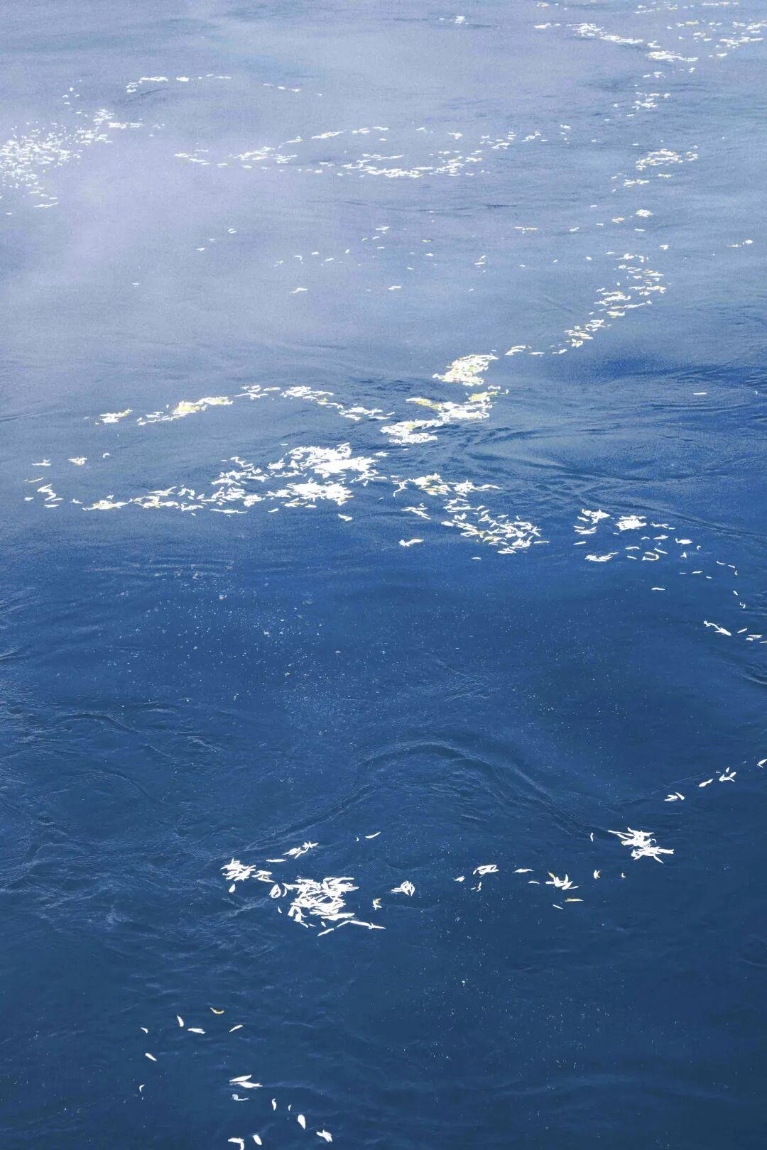 “挖心头肉啊！”北京朝阳，一位81岁的老太被全家瞒了整整3年，才知道自己的亲生儿