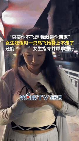 “万物皆有灵！”江西修水，女子在外面吃饭，突然一只小鸟飞了过来，落到她身上不下来