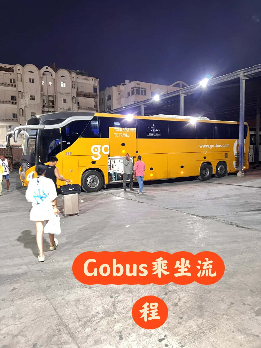 看一遍就明白，埃及gobus如何乘坐，很简单！
