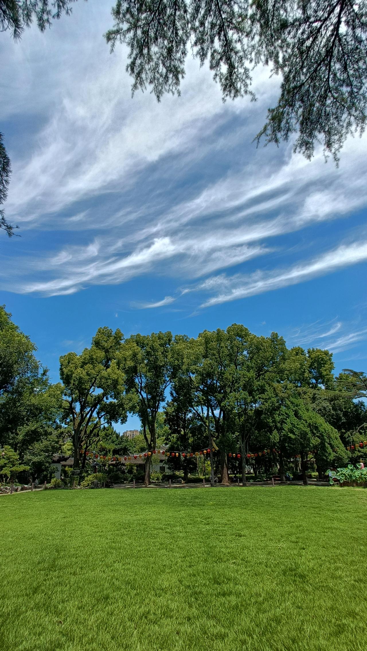 蓝天白云下的绿意盎然，享受大自然的宁静与美好。
上联：绿树阴中见，
下联：红花开