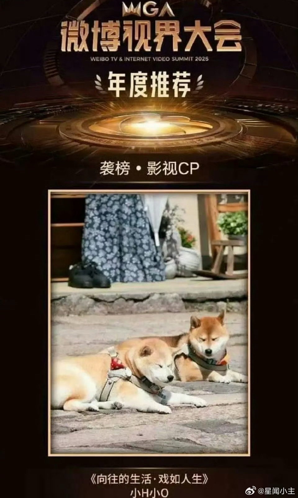 视界大会cp奖给了向往的生活的狗，这也是不容易了，虽然可惜了南北cp，但是给狗狗