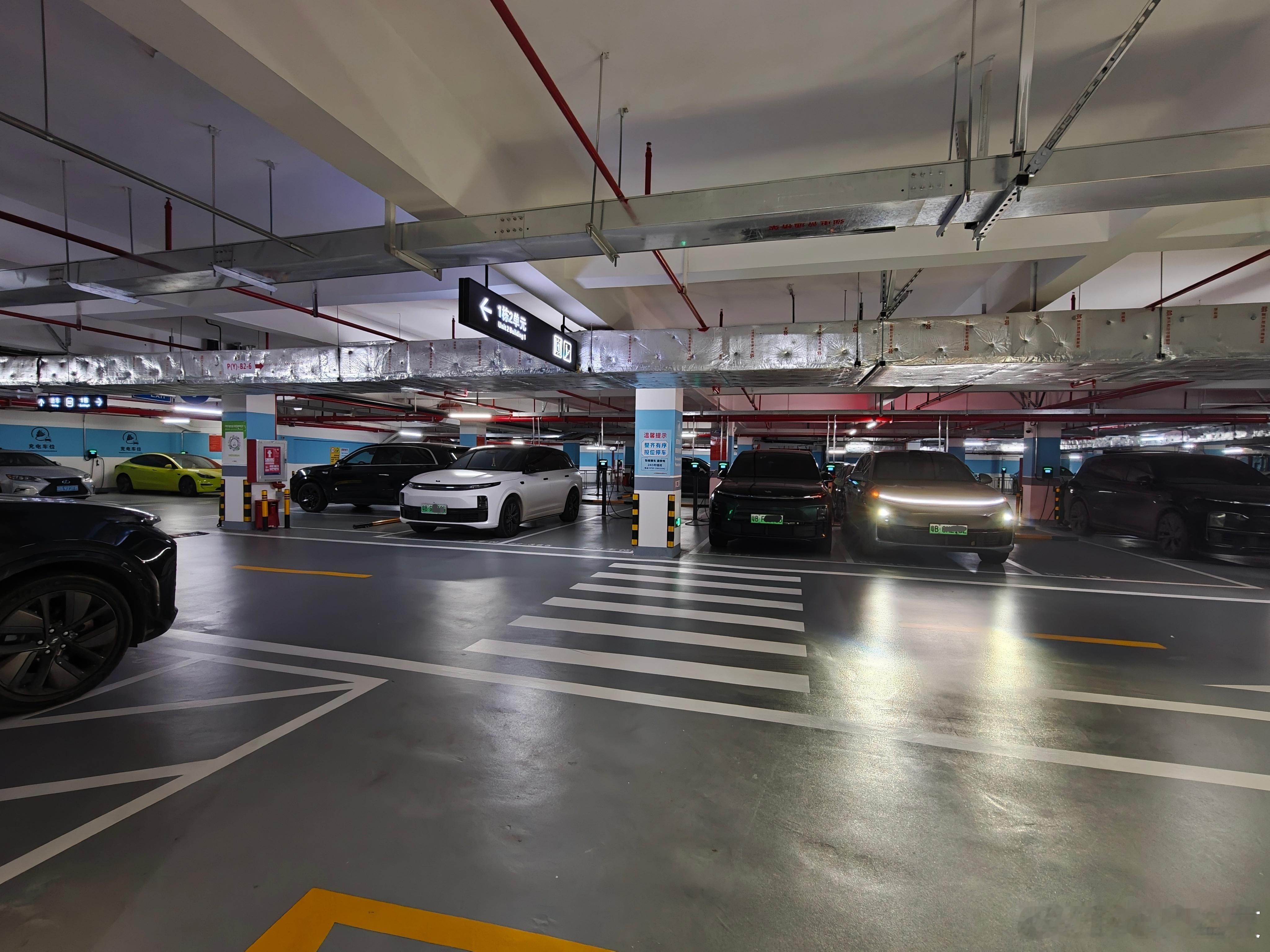 我们小区含“想”率实在太高了，下来充个电，看到周围7辆理想，直接被包围了你们感受