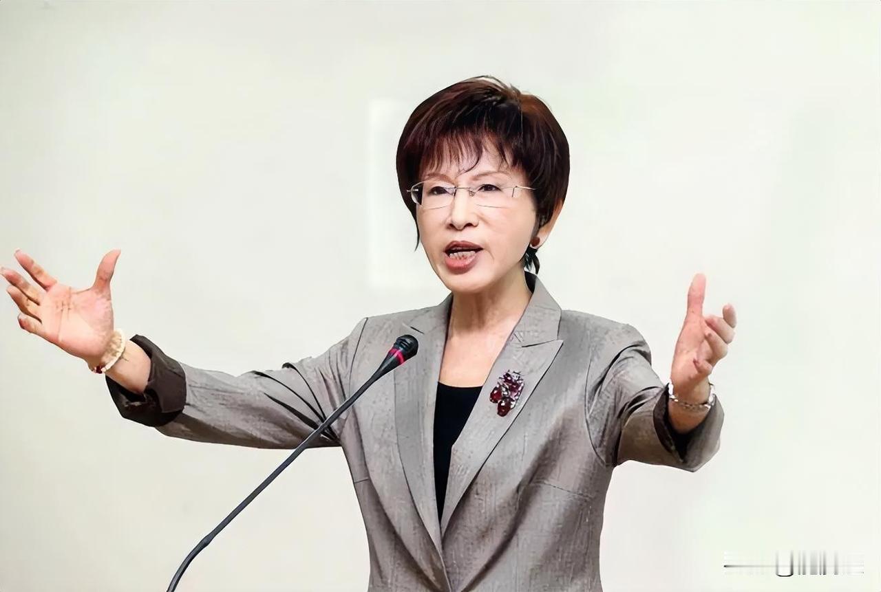 洪秀柱这番话，戳破了台海和平的真相
 
看完洪秀柱在杭州论坛的发言，我深有感触。