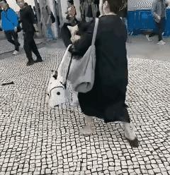 劝诫小三

世人皆道妾输妻，
正室徒悲力不支。
休向闲花争宠幸，
且将浪子束樊篱