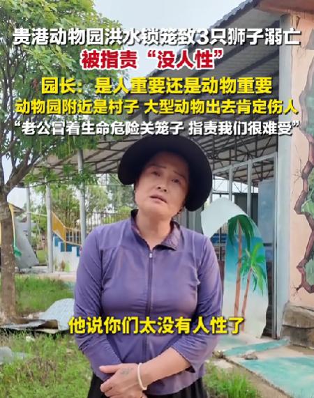 是人命重要，还是三头狮子命重要？洪水退去，广西贵港动物园园长也哭了，不是为动物园