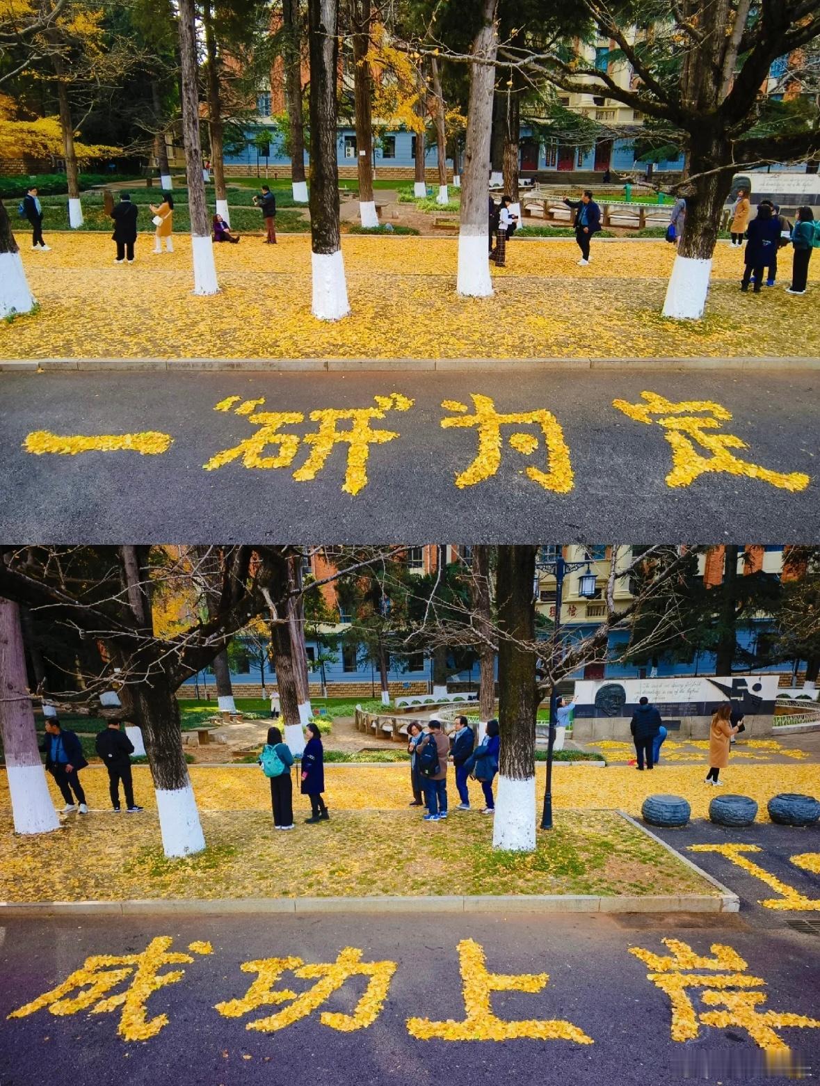 清晨六点，第一个闹钟响起。城市尚未苏醒，你的战斗已经开始。热水冲开速溶咖啡的香气