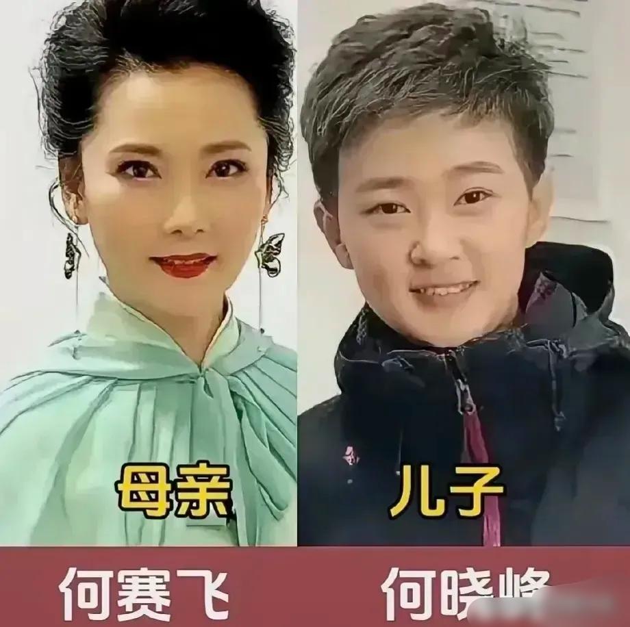 何赛飞与儿子同框
洪欣与儿子同框
王馥荔与儿子同框
三位老戏骨演员和儿子同框对比