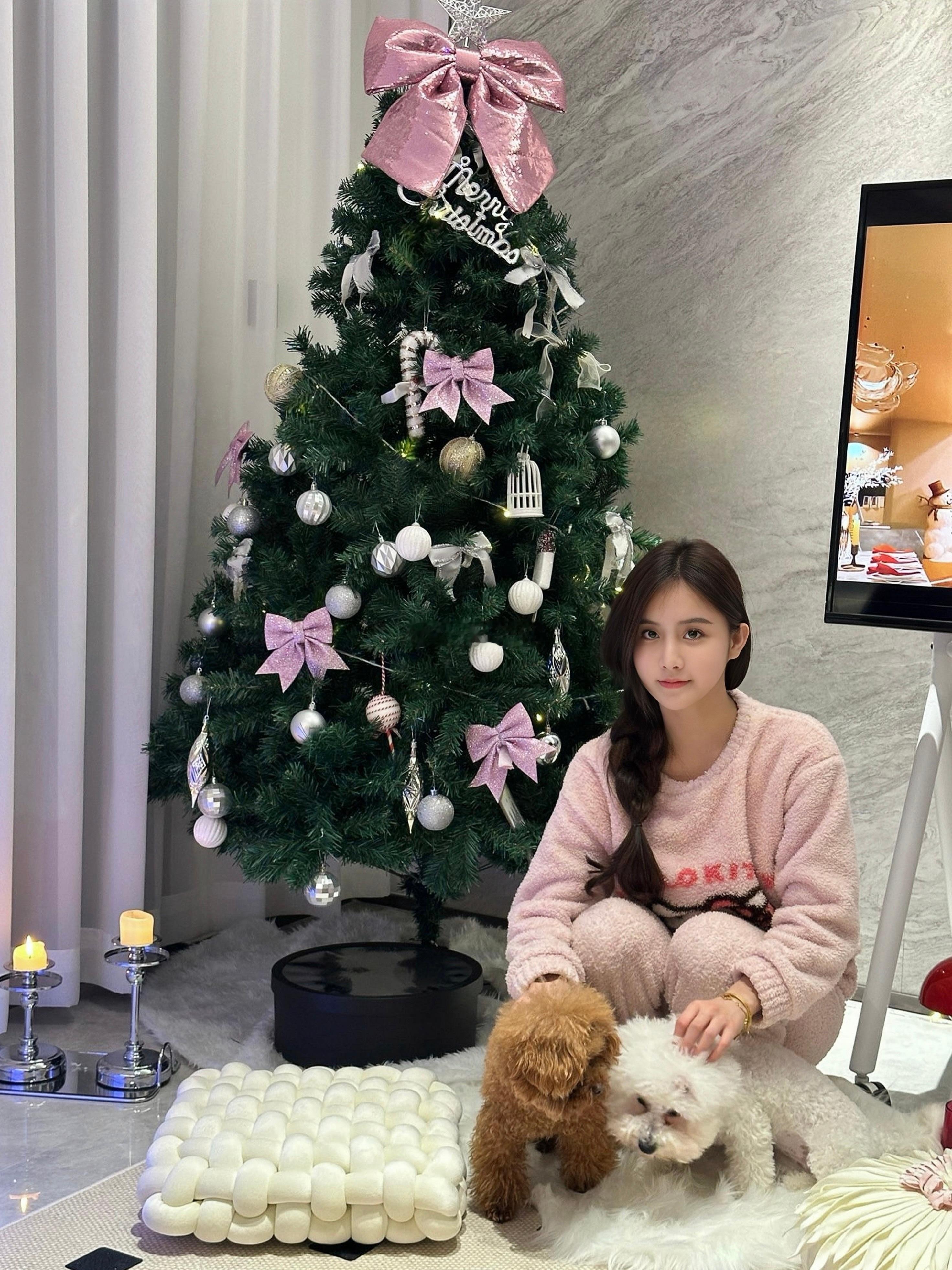🎄 