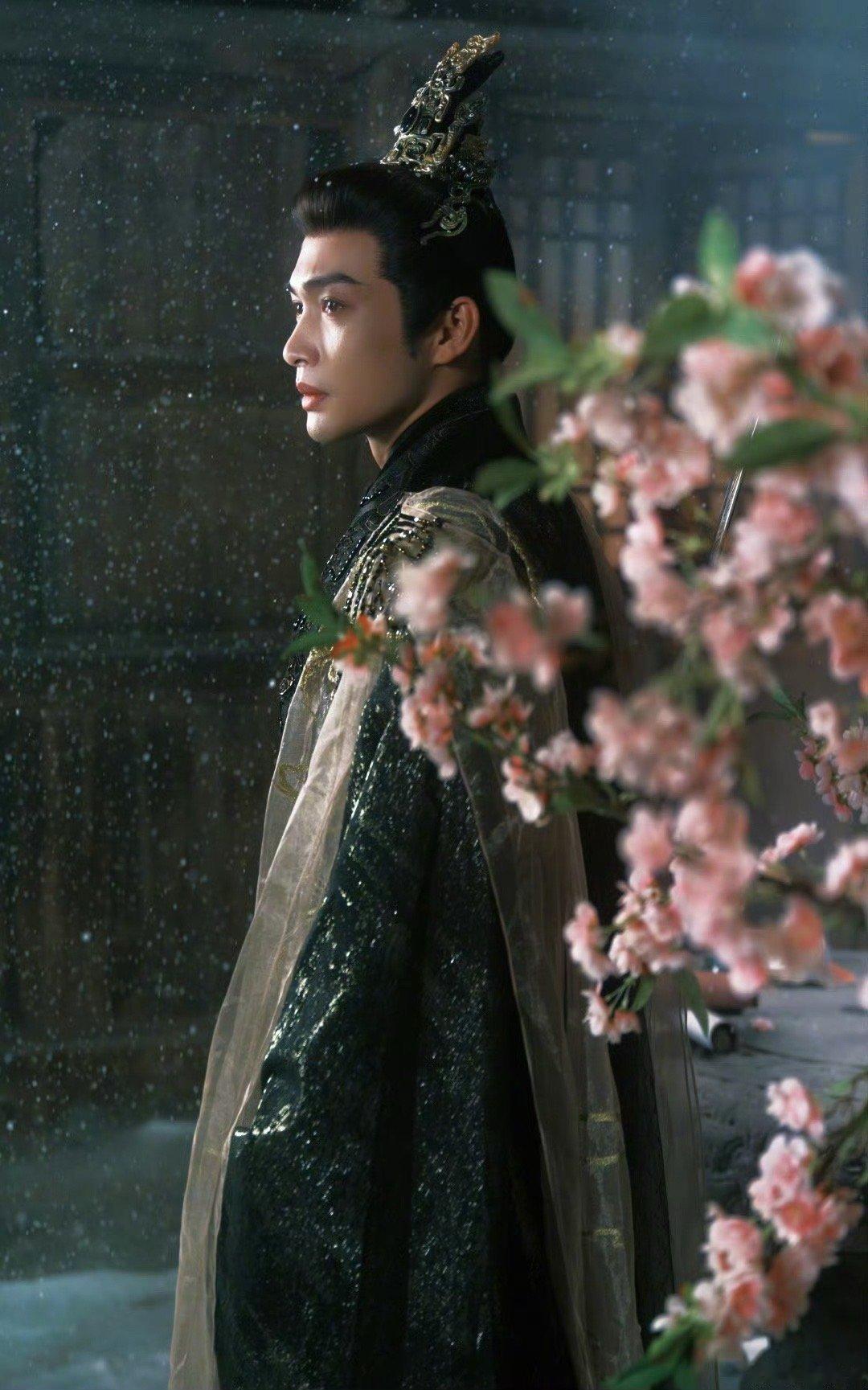 夏弃疾拍的战损张彬彬  张彬彬雪落下花盛开  夏弃疾拍的战损张彬彬！！雪落下花盛