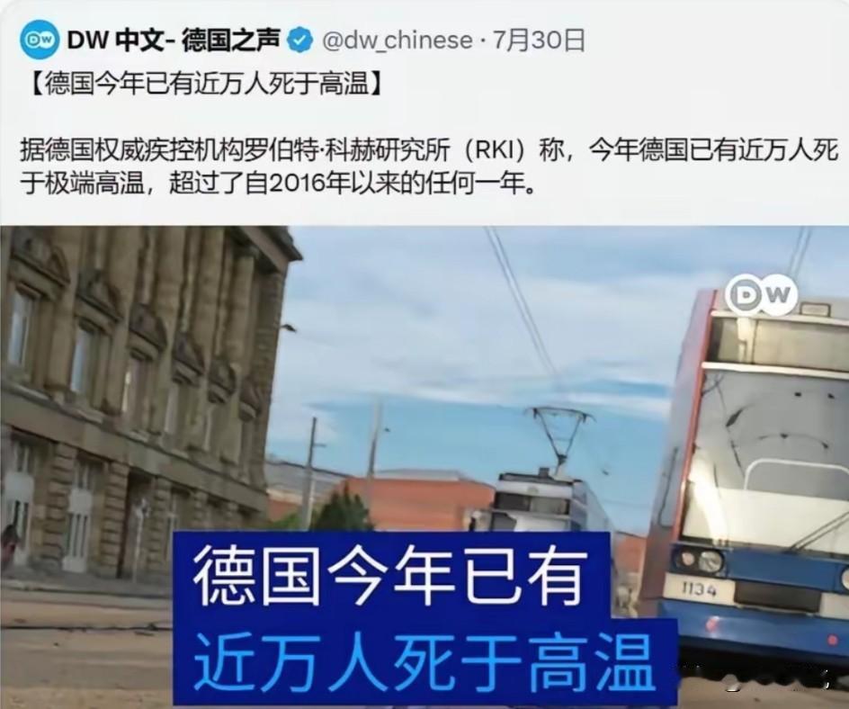 刷到德国之声报道今年高温导致德国近万人死亡的新闻震惊到我了，这让我突然想起来前几