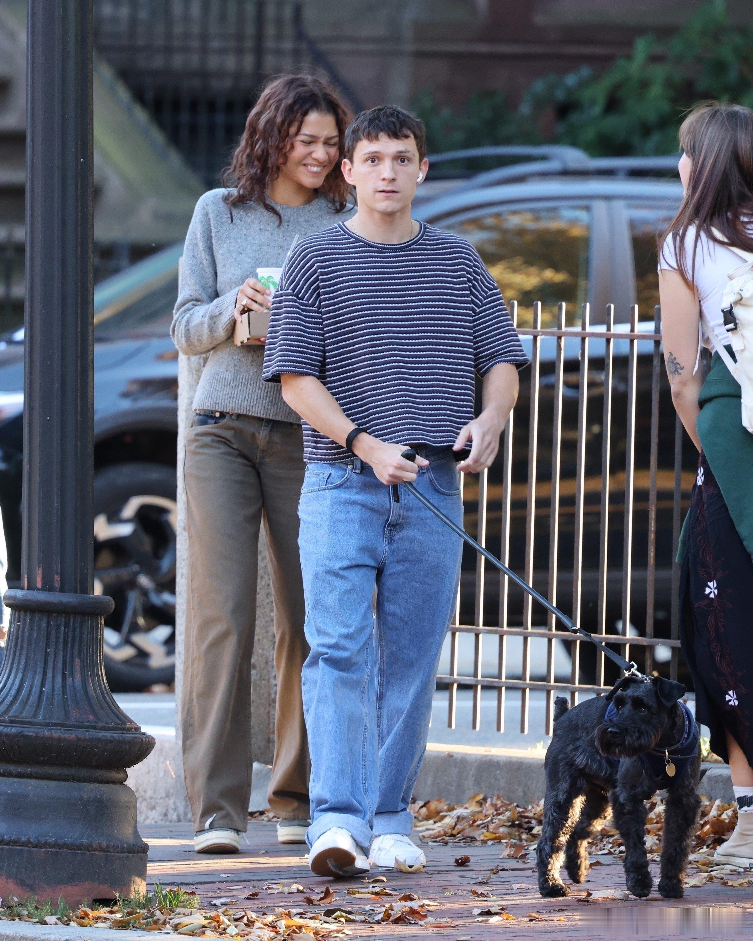 #赞达亚荷兰弟外出遛狗##tom holland# 近日，有人看到“荷兰弟”汤姆