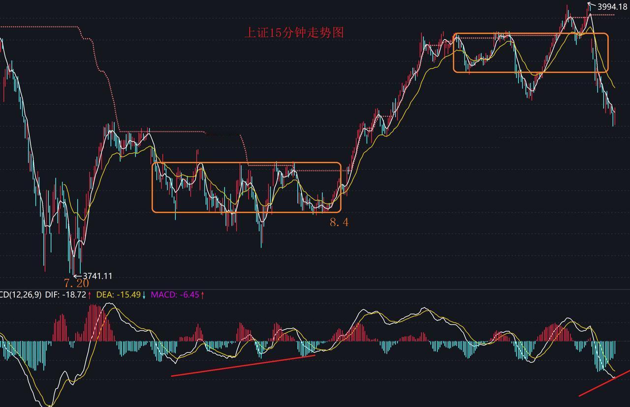 今日暴跌事后找原因，就这几点：
外围暴跌；盘后爱丽部分账户暂停交易，一鸣重点监管