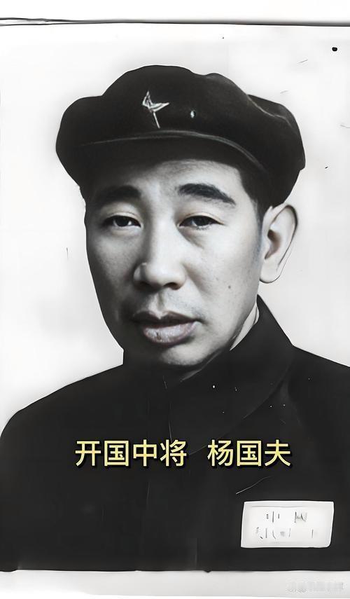 四野猛将杨国夫：常年当副手、调离主力部队，1955授衔结果出人意料

1949年