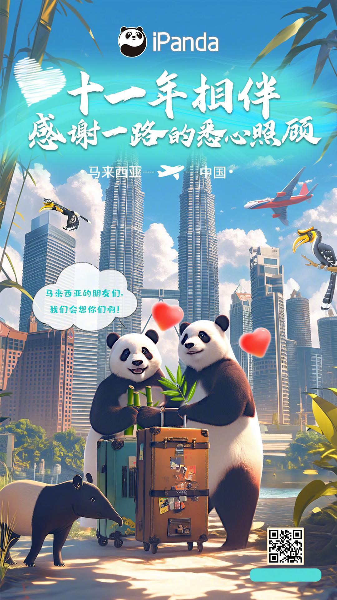 旅马大熊猫凤仪和福娃回家啦 [哇]愿滚滚们在故乡的竹林里自在逍遥，继续萌动万千人