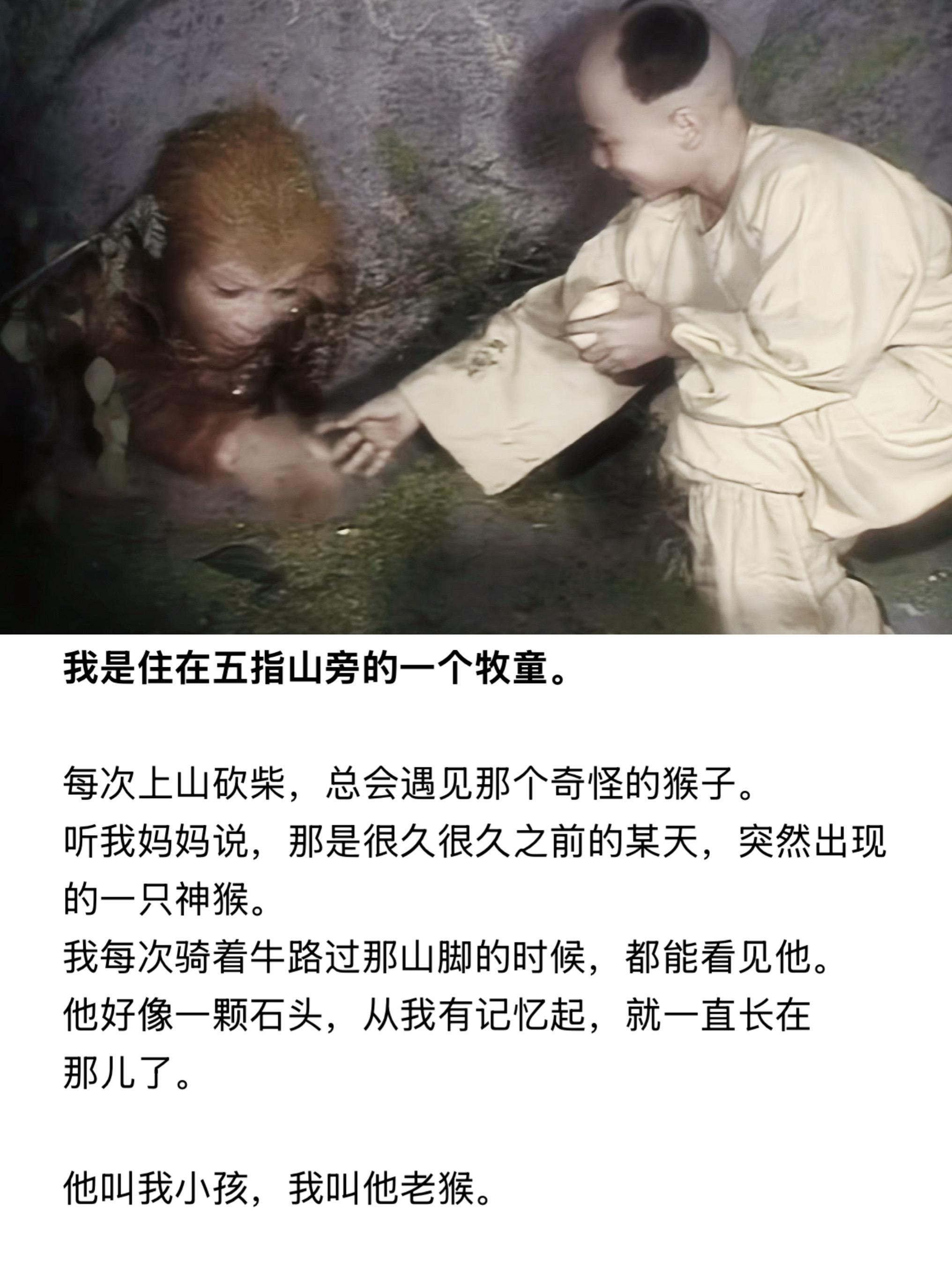 他问我，今年的桃呢？