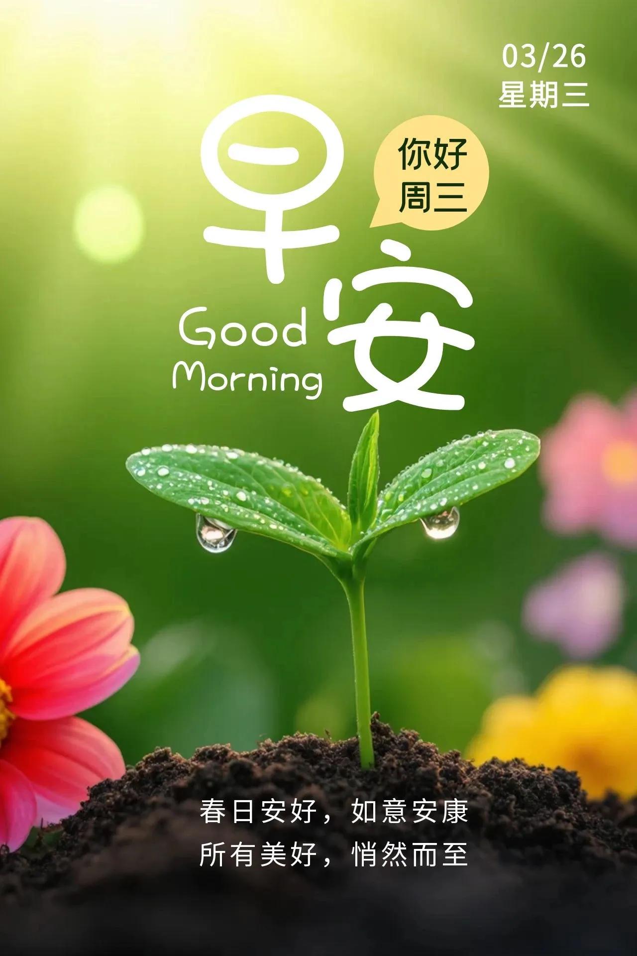 热爱生活，生命也会变得晴朗，生活没有标准答案，每个人都有自己的注脚，着眼于当下，