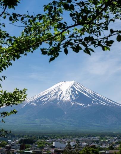 5 月 30 日，一条推特突然炸了锅！有个日本人在推特上发文质疑：“我想问问中国