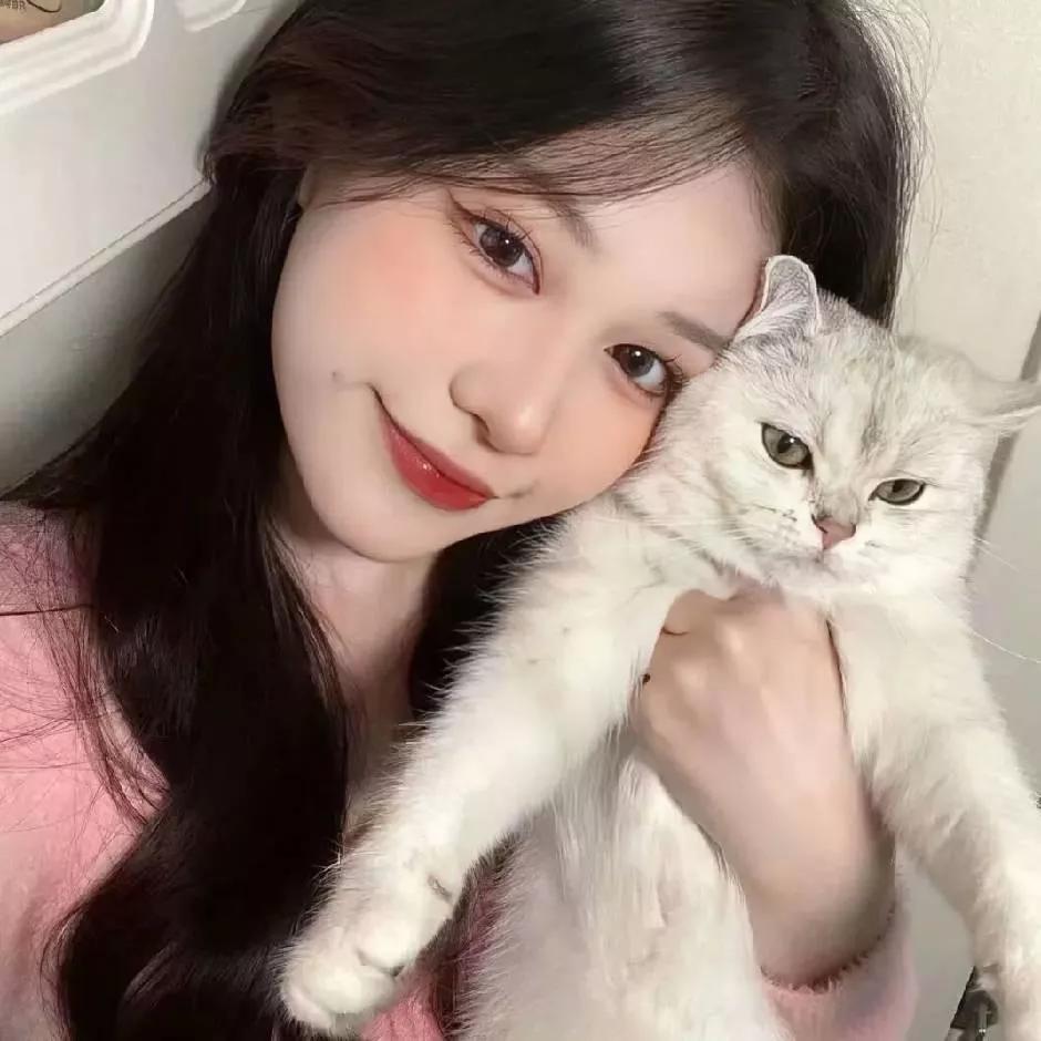 温柔瞬间💓：和我的小猫咪一起享受幸福的时光😊治愈之家的猫咪 猫咪治愈瞬间 照