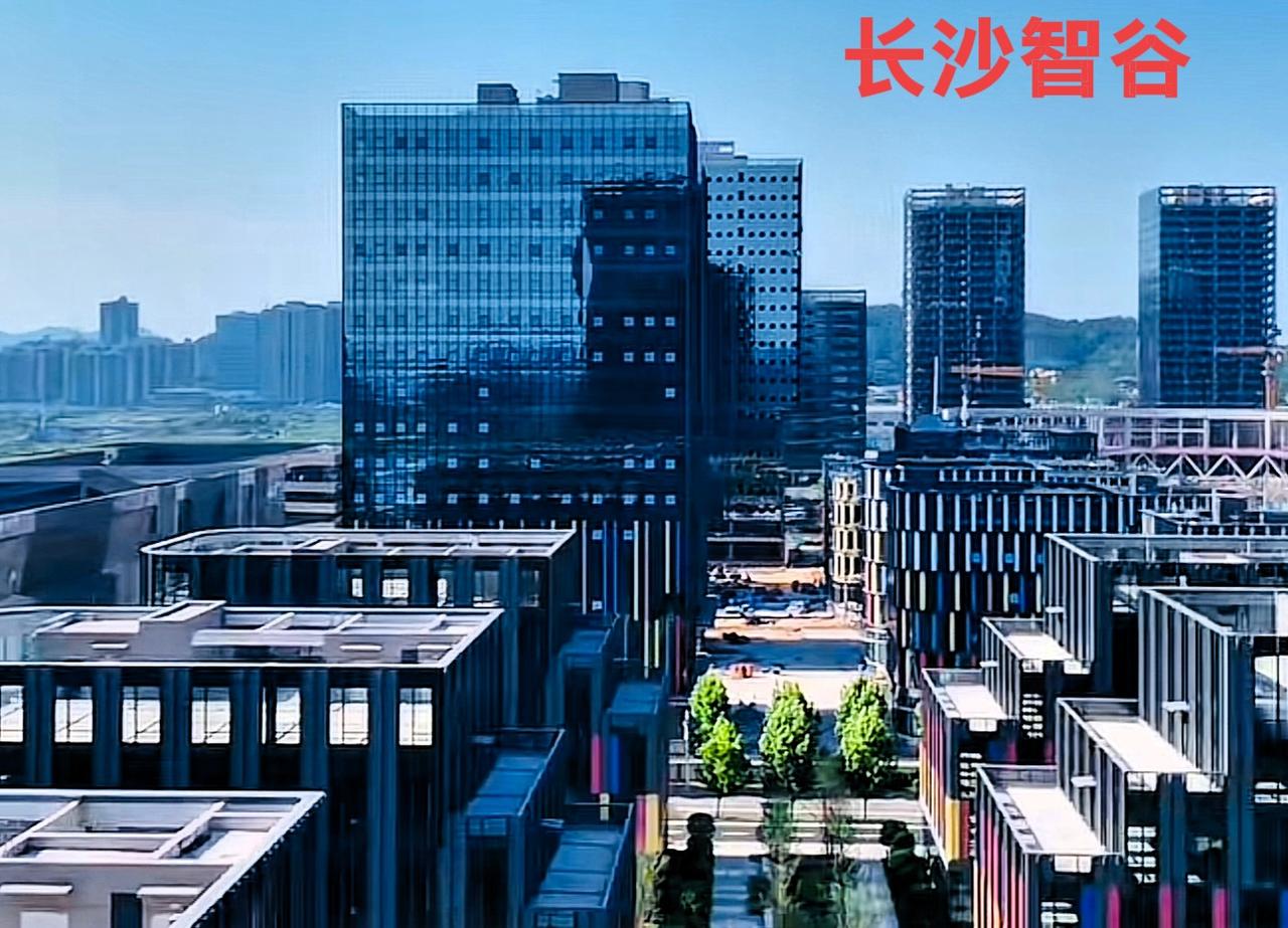 说实话，长沙湘江科学城那些房子，干嘛不跟长沙智谷一样的房子建设呢？这明眼人都能看