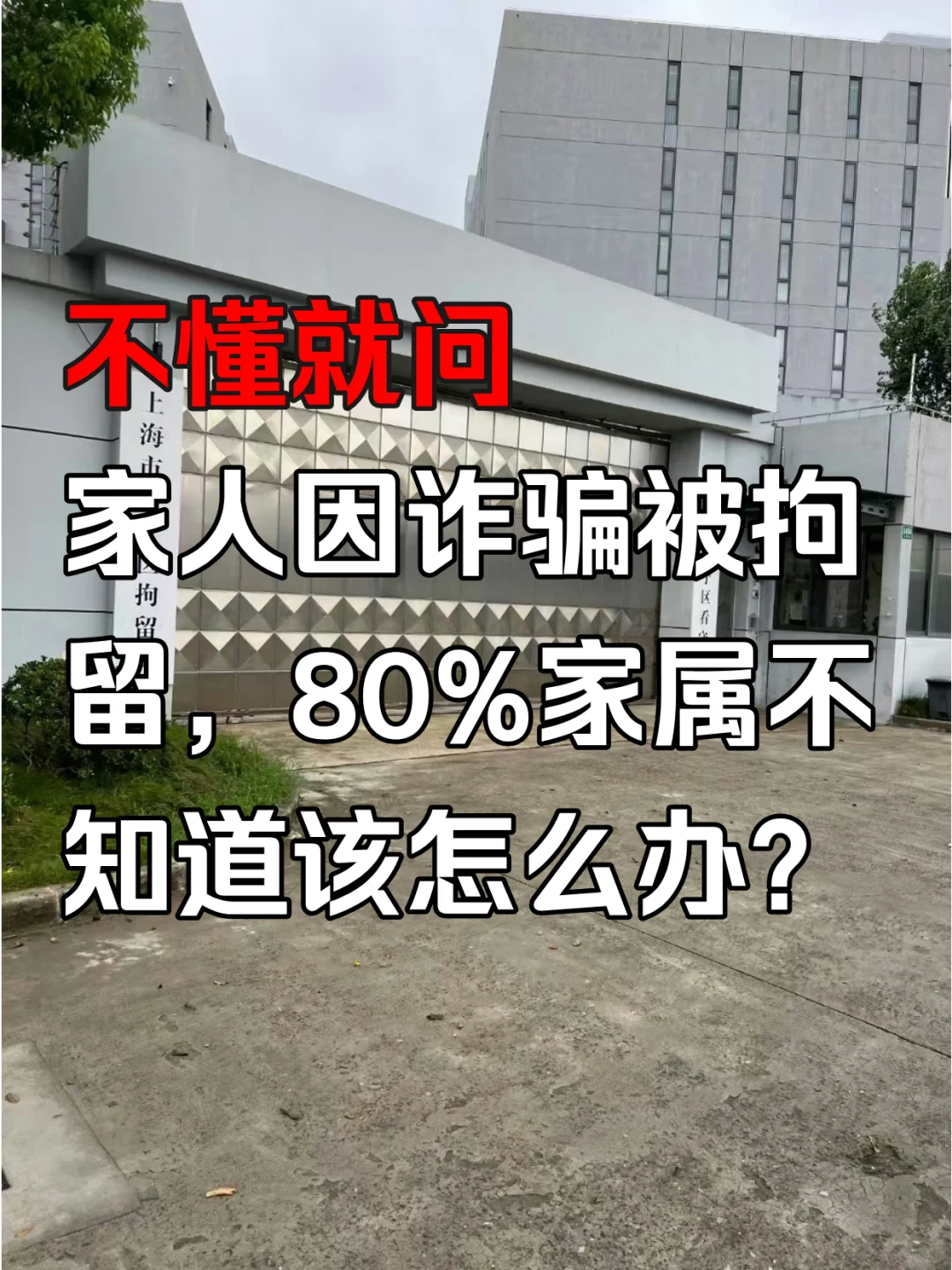 家人因诈骗被拘留，80%家属不知道怎么