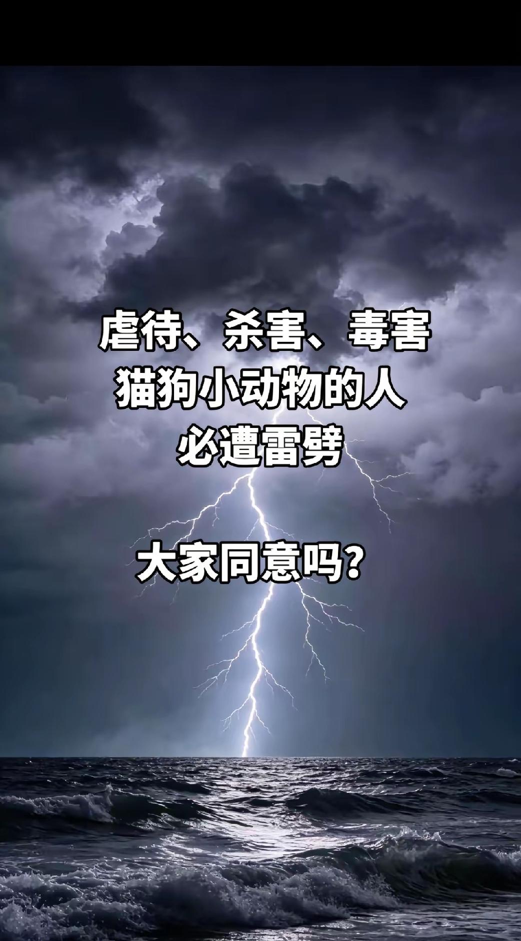 你支持立动物保护法吗先解决，猪牛羊鸡鸭鹅的肉，能不能吃了，再解决动物保护法的问题