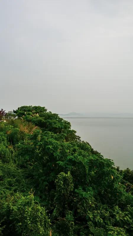 生活的最佳状态，是清醒自律，温柔且坚定。不必一味追求事事完美，要学会接纳一切的发