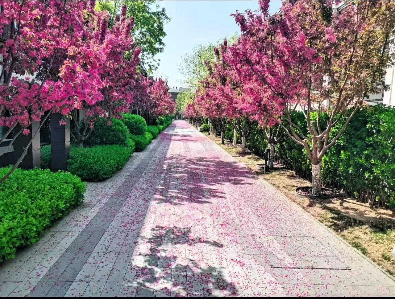 人生是一场修行，在崎岖的道路上行走，既有平坦开阔的道路，也有崎岖不平的山路和陡峭