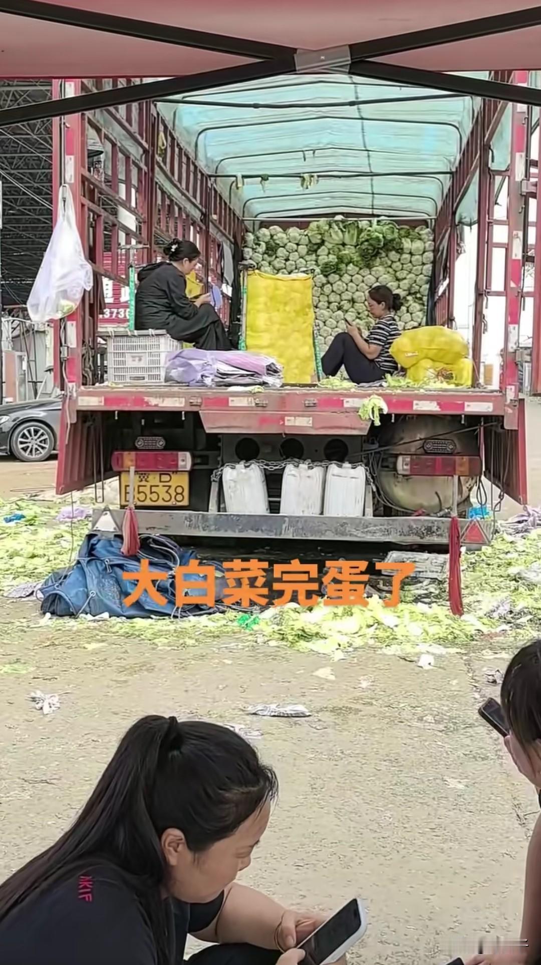大白菜用甲醛浸泡这个事一点都不意外，就像有的农户说的那样，苹果啊，蔬菜啊，甚至鸡