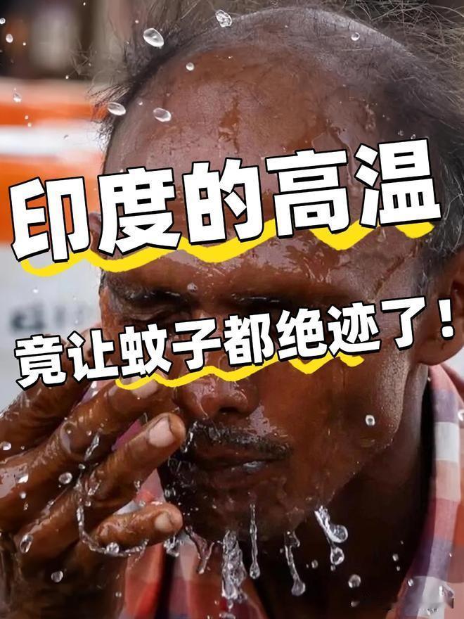 近日，印度大地仿佛被置入一座无形的巨型烤炉之中，一场凶猛且 relentless