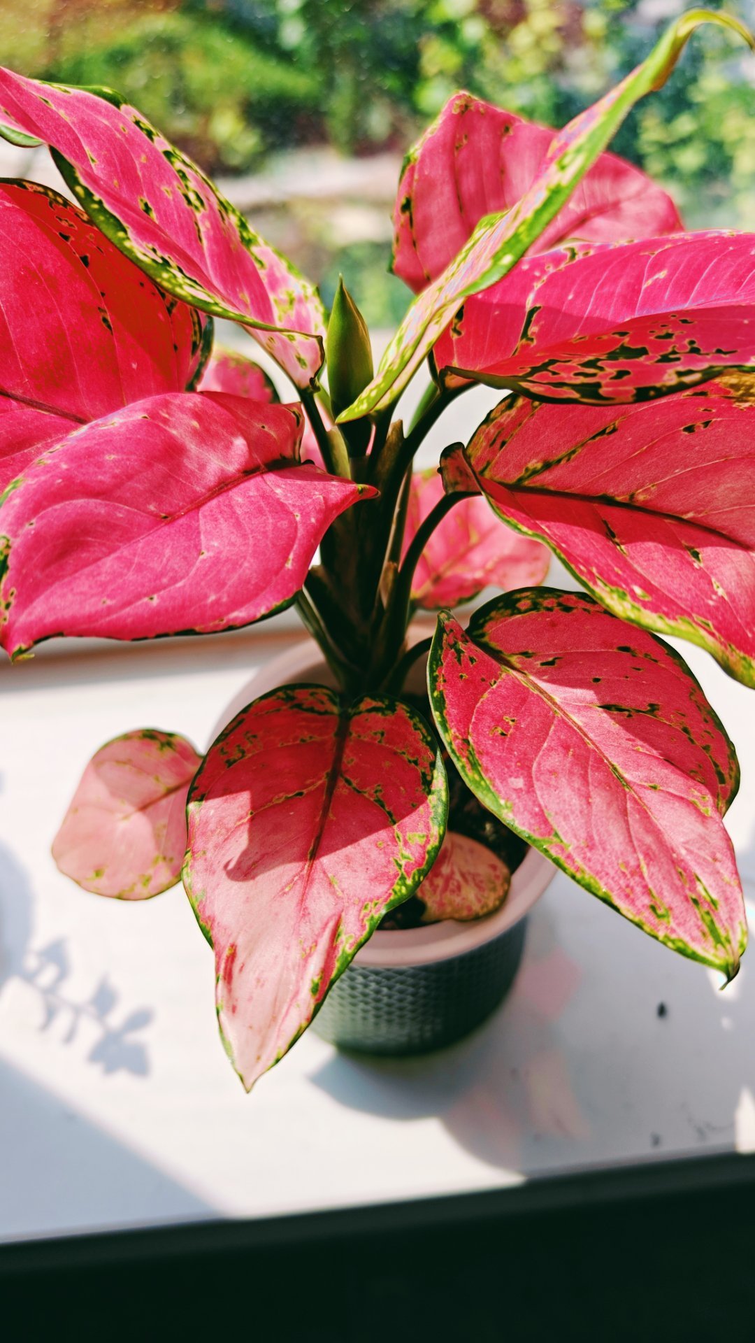 工作性抑郁我同事说一进单位脑袋就疼，我有一阵也是这样…… 