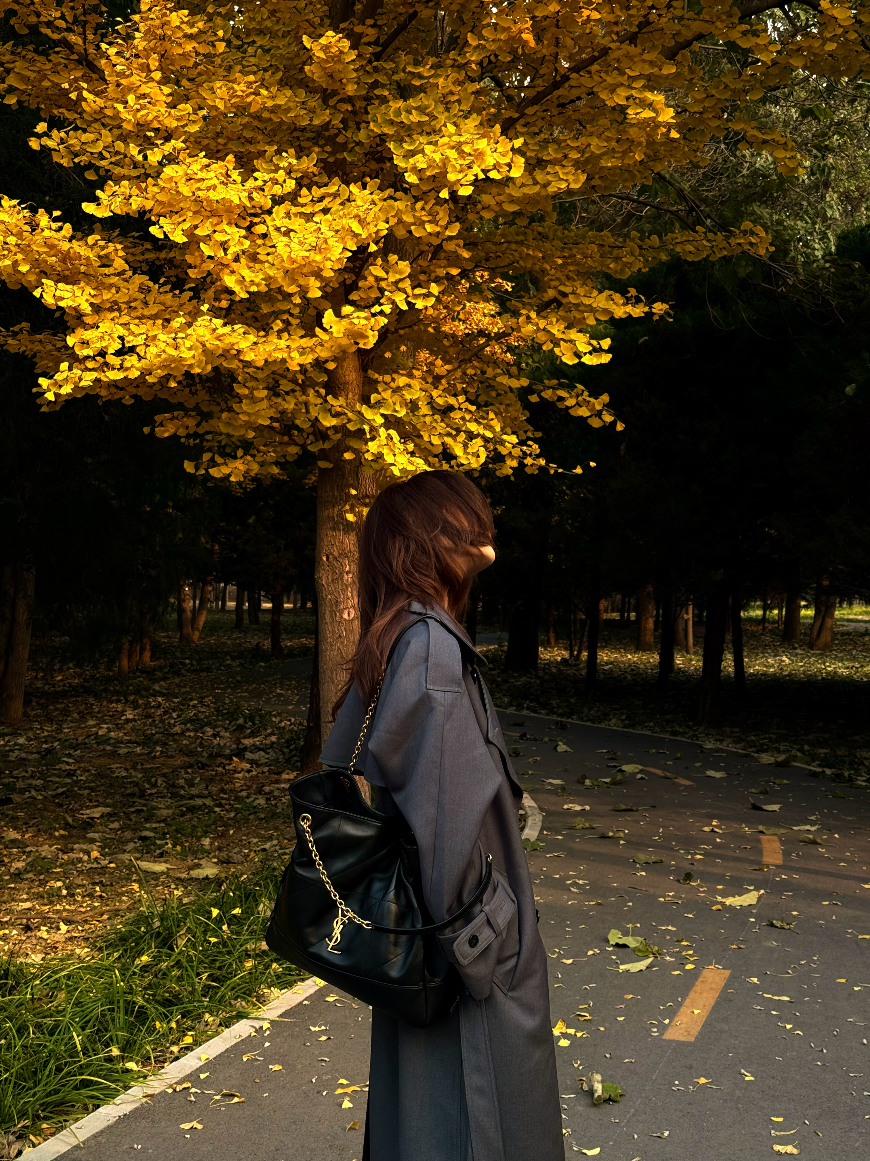 落下的一些秋天。 