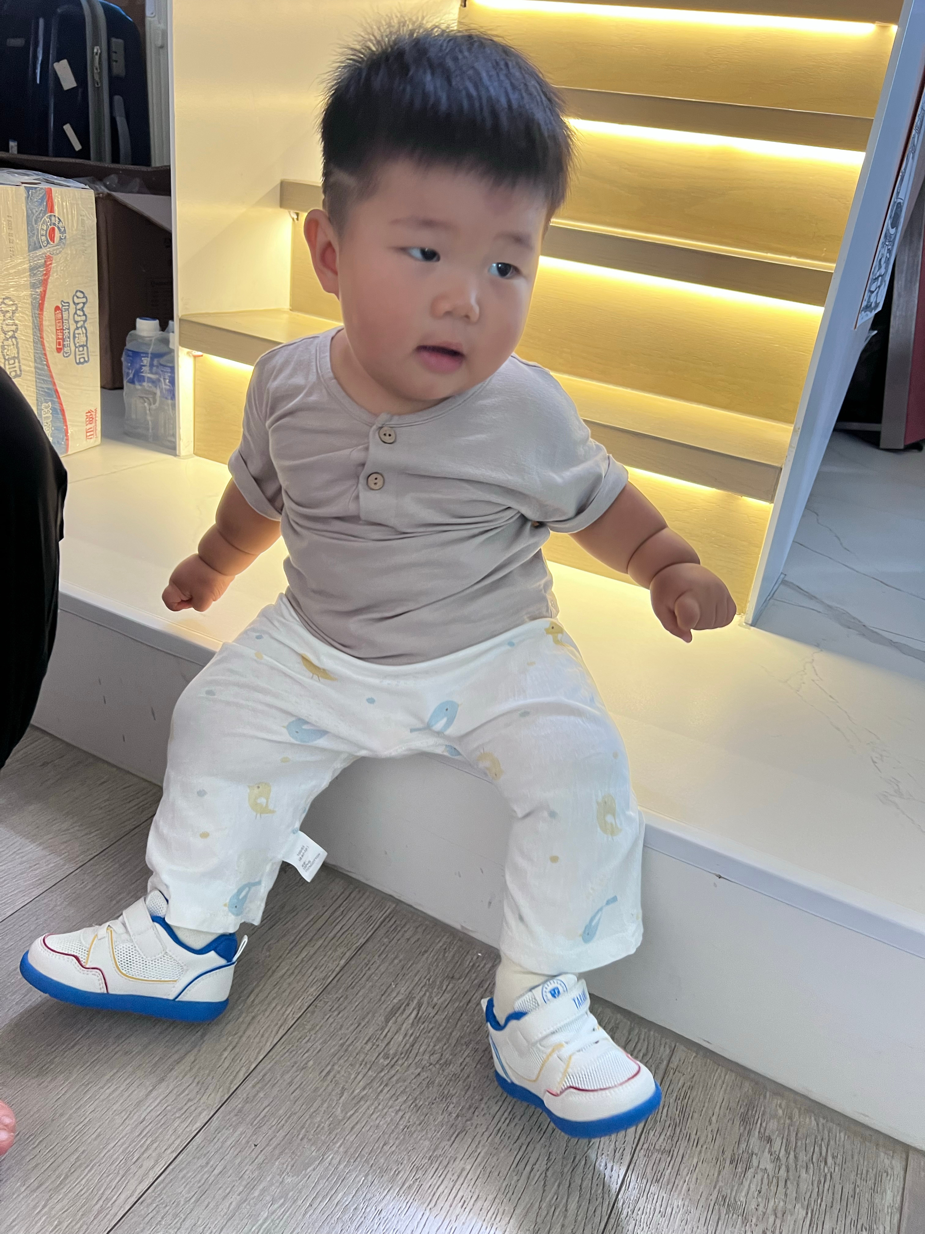 橘墩墩开始穿鞋了，他站起来以后发现他的腿真的好粗啊 